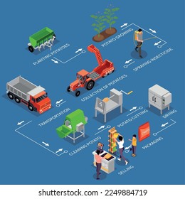 Potato chips production isometric composition with isolated images of vehicles plants machinery arrows and text captions vector illustration