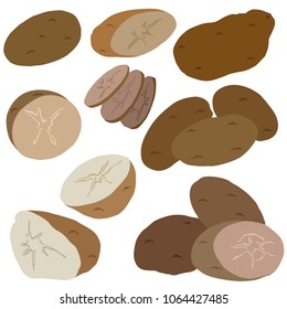 Potato colored illustration, vector