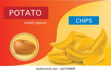 Potato concept background. Realistic illustration of potato vector concept background for web design