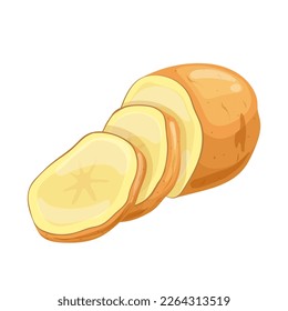 potato cut cartoon. food vegetable, eat ingredient, organic raw, vegetarian cooking, diet harvest potato cut vector illustration