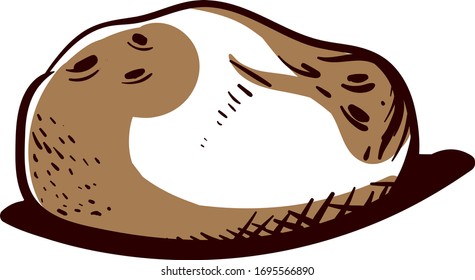 Dibujo de patata, ilustración, vector sobre fondo blanco