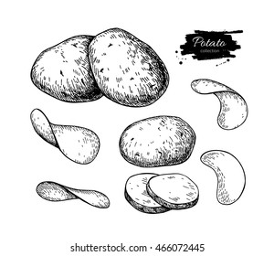 Potato drawing set. Vector Isolated potatoes heap, sliced pieces and chips. Vegetable engraved style illustration. Detailed vegetarian food sketch. Farm market product. Great for label, banner, poster