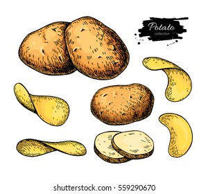  Potato Drawing Images Stock Photos Vectors Shutterstock