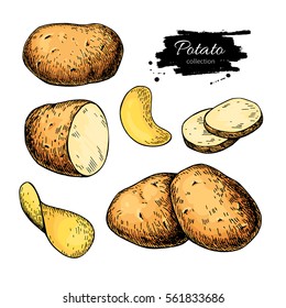 Potato drawing set. Vector Isolated potatoes heap, sliced pieces and chips. Vegetable artistic style illustration. Detailed vegetarian food sketch. Farm market product. Great for label, banner, poster