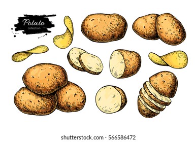 Potato drawing set. Vector Isolated potatoes heap, sliced pieces and chips. Vegetable artistic style illustration. Detailed vegetarian food sketch. Farm market product. Great for label, banner, poster