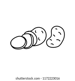 Potato drawing. Vector illustration