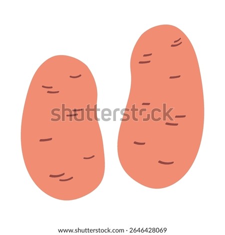 Potato flat style vector illustration on isolated background. Hand drawn colorful ripe ground vegetable potatoes, vegetarian nutrition, farming food, chips. Design element for logo, design, sticker