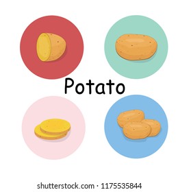 potato flat. Vector illustration of potatoes for soup. food and restaurants. for business cards advertising, in the style of flat design.