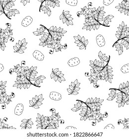 Kartoffelblumen und pflanzliches nahtloses Muster. Vektorgrafik eps10.