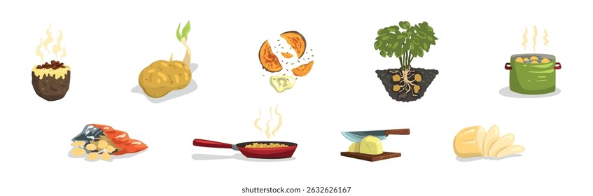 Potato Food Item and Products Object Vector Set