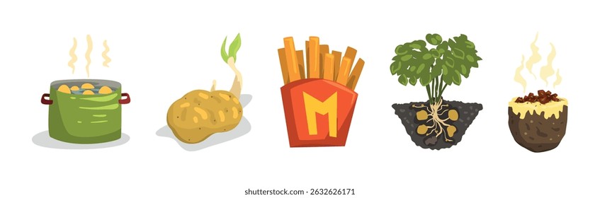 Potato Food Item and Products Object Vector Set