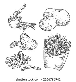 potato food set hand drawn vector. farm vegetable, engraved plant, cooking chip, organic starch, sweet yam fresh slice potato food sketch. isolated black illustration