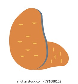 potato food vegetable 