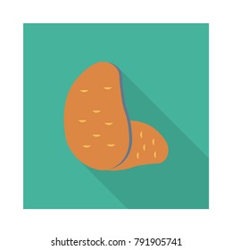 potato food vegetable 