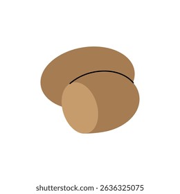 Potato. Fresh organic vegetable. Vector illustration