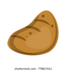 Potato fresh vegetable