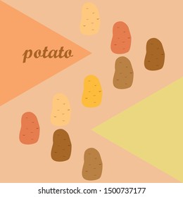Potato. Fresh vegetables. Organic food poster. Farmer market design. Vector background
