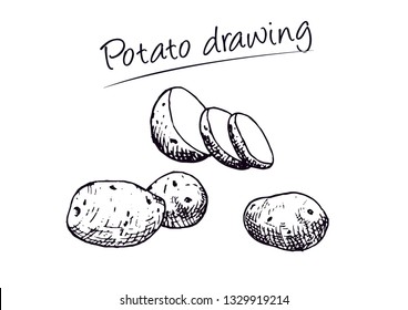 Potato Hand Drawing