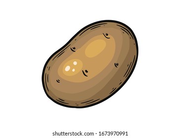 Potato. Hand drawn potatoes  vector illustration isolated on white background.