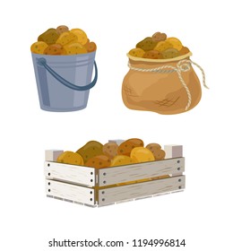 potato harvest in different containers. vector illustration