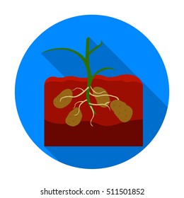 Potato icon in flat style isolated on white background. Plant symbol stock vector illustration.