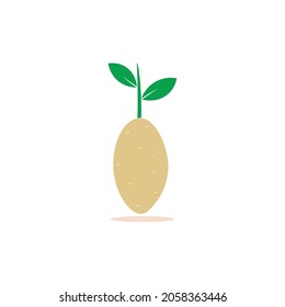 Potato icon logo vector design