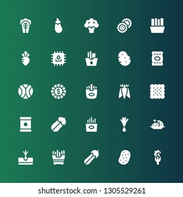 potato icon set. Collection of 25 filled potato icons included Broccoli, Potato, Courgette, French fries, Tuber, Leek, Fries, Chips, Biscuit, Chip, Cabbage, Turnip, Biscuits, Aubergine