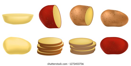 Potato icon set. Realistic set of potato vector icons for web design isolated on white background
