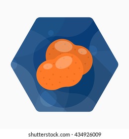 Potato icon, Vector flat long shadow design. EPS10