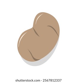 Potato illustration. Potato element. Vegetable illustration. Vegetable element. Organic vegetable. Tubers vegetable.