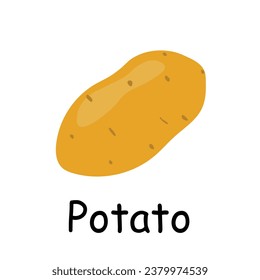 Vector plano de ilustración de papa. Flashcard de verduras. Elemento para cocina, cocina, supermercado, concepto de estilo de vida saludable.