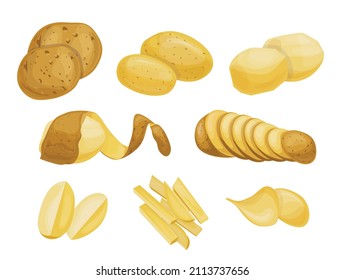 
Potato illustration isolated on white background. Different types of potatoes are used for magazines, books, posters, cards, cover menus, web pages.