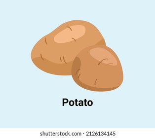 Kartoffelgrafik-Set. Gemüsegarantie Vektorgrafik. Handgezeichnet.