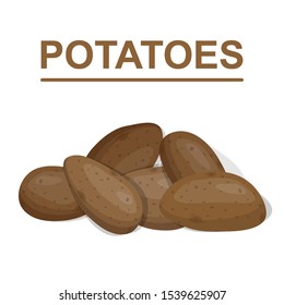 Potato isolated on the white background. Vegetables collection. Vector illustration.