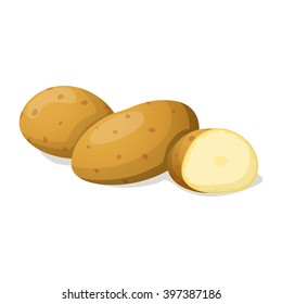 Potato isolated on white. Vector illustration