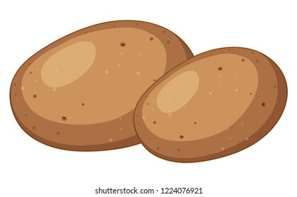 A potato on white background illustration