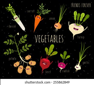 Potato, onion, garlic, daikon, carrot, beet, cartoon vegetables illustration. Vector cartoon. Friends forever. Comic characters. You can use in the menu, in the shop, in the bar, the card or stickers.