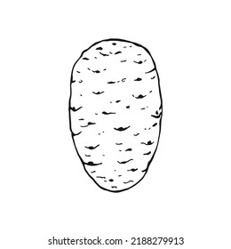 Potato Outline Hand Drawn Vector Illustration Stock Vector (Royalty ...