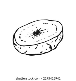 Potato outline. Hand drawn vector illustration. Farm market product, isolated vegetable.