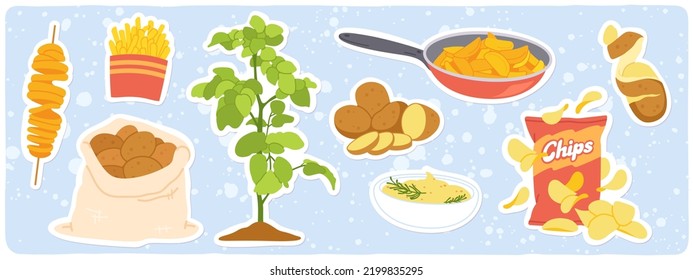 Plantas de papa, puré, patatas fritas, productos de patatas fritas. Patatas crudas en saco, fritas, hervidas, enteras y en rodajas pegatinas de verduras de raíz. Ingrediente orgánico, ilustración vectorial plana de cocina