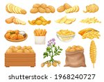Potato products icons set. Chips, pancakes, french fries, whole root potatoes in cartoon realistic style. Vector illustration of harvest vegetables.