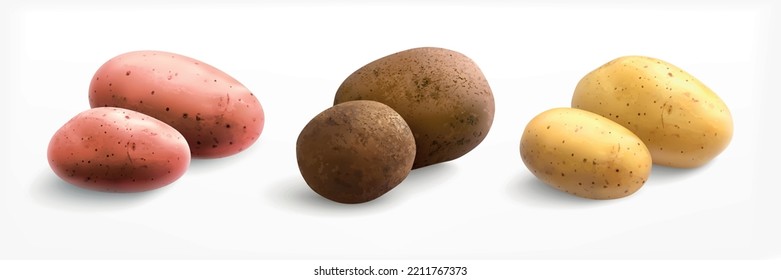 Potato realistic set with three isolated pairs of ripe potatoes of different type and peel color vector illustration