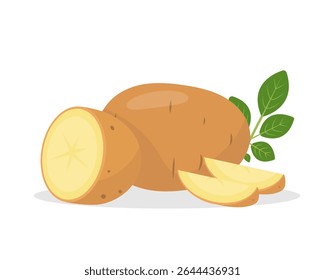 Potato root vegetables. Farm whole raw golden yellow potato, half and pieces. Organic garden vegetarian food. Vector illustration isolated on white background.