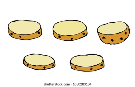 Potato Round Slices. Half of Potato and Potato Cuts. Fresh Farm Harvest Product. Vegetable Cooking Ingredient. Meat, Soup, Main Course Spice. Realistic Hand Drawn Illustration. Savoyar Doodle Style.