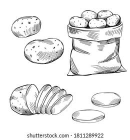 Juego de papas. Esbozar ilustraciones vectoriales de dibujo.