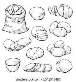 Potato sketch set, agriculture and nature image. Organic and fresh vegetarian meal, healthy farm product. Vector illustration