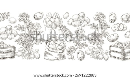 Potato sketched seamless border vector