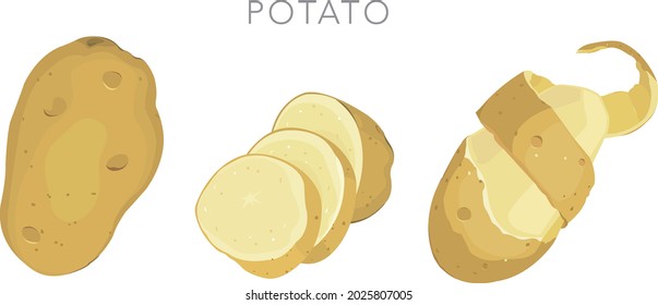 Potato with slices and leaves Premium Vector