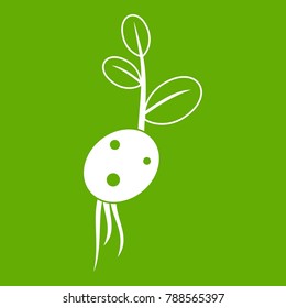 Potato sprout from the root icon white isolated on green background. Vector illustration