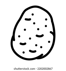 vector de icono de línea de tubérculo de papa. signo de tubérculo de papa. símbolo de contorno aislado ilustración negra